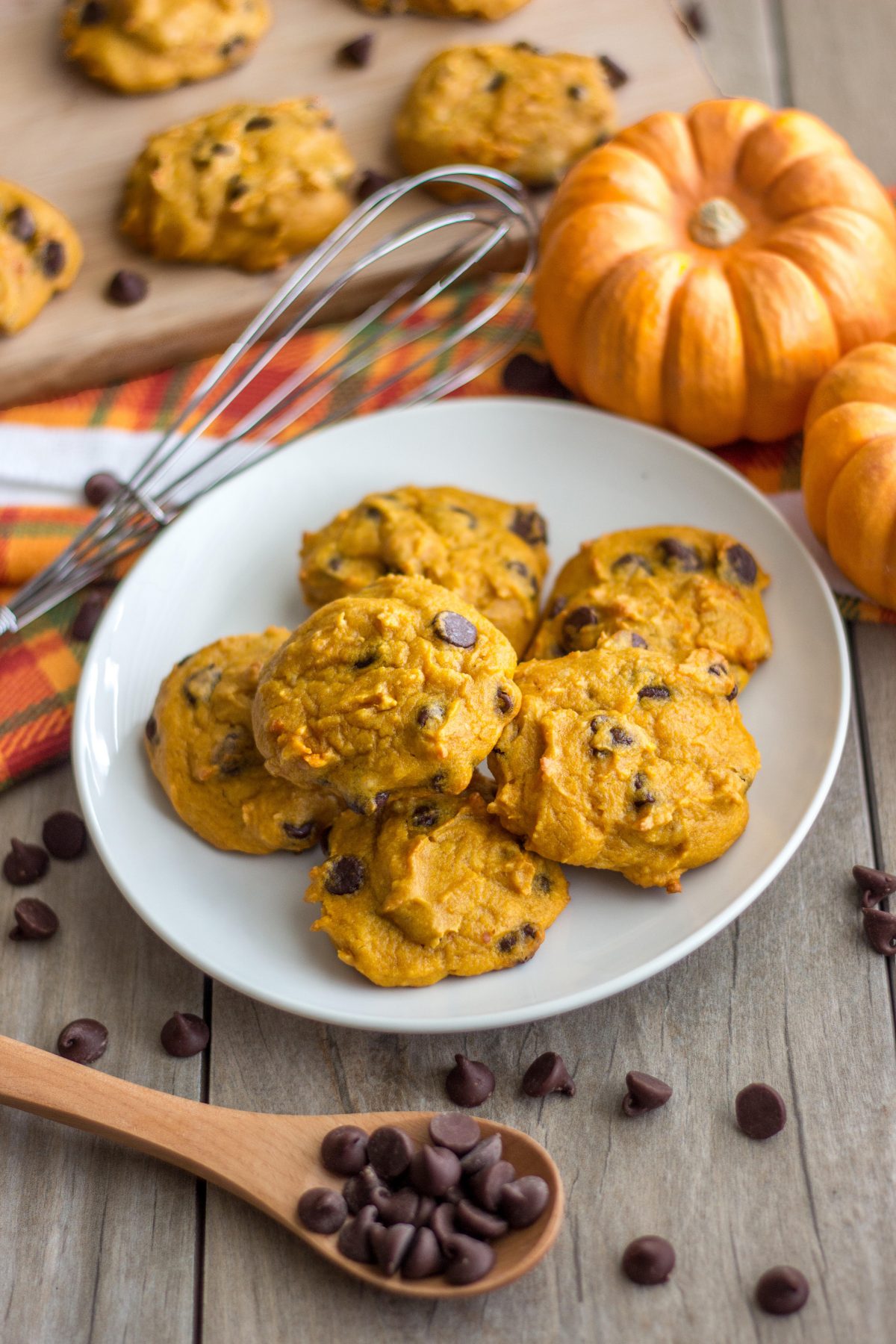 PB Pumpkin Chocolate Chip Cookies (gluten & dairy free!) Crazy Richard's